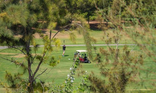 Resale - Bungalows -
Torre de la Horadada - El Mojon - Torre de la Horadada