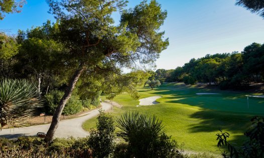 Segunda mano - Villas -
Orihuela Costa - Villamartín