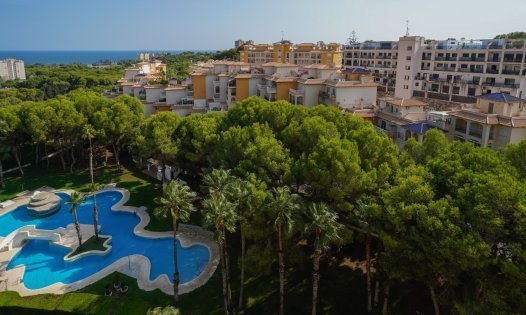 Alquiler a largo plazo - Apartamentos -
Orihuela Costa - Dehesa de Campoamor