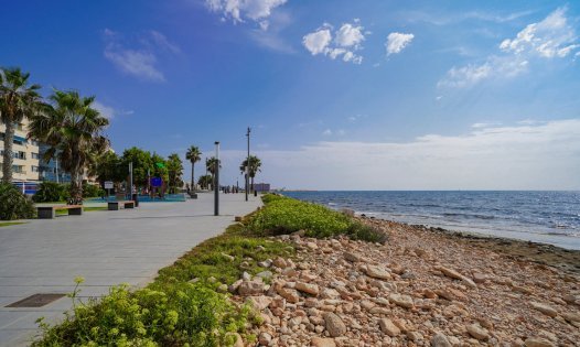 Återförsäljning - Lägenheter -
Torrevieja - Playa de los Locos - Torrevieja