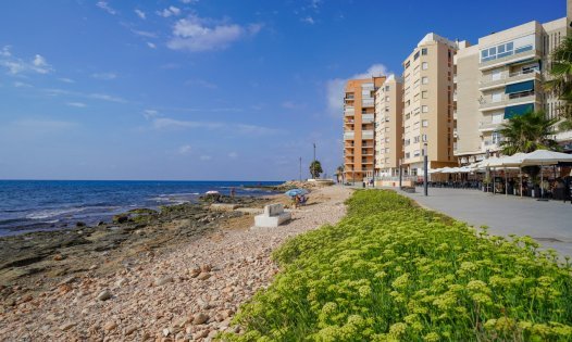 Återförsäljning - Lägenheter -
Torrevieja - Playa de los Locos - Torrevieja