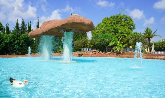 Återförsäljning - Lägenheter -
Torrevieja - Centro - Torrevieja