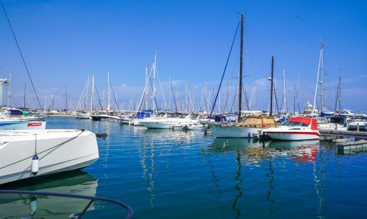 Segunda mano - Bungalows -
San Pedro del Pinatar