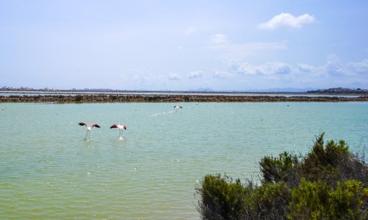 Herverkoop - Villa's -
San Pedro del Pinatar