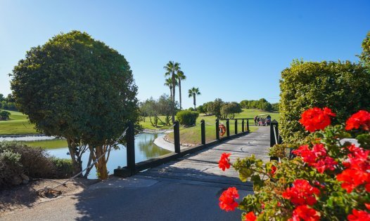 Segunda mano - Bungalows -
Pilar de la Horadada