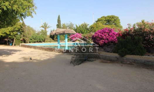 Återförsäljning - Lägenheter -
Torrevieja - Playa de los Locos