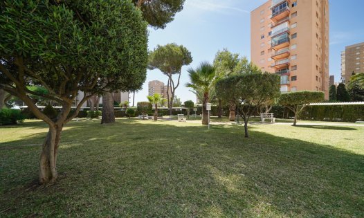 Långtidsuthyrning - Bostadsstudior -
Orihuela Costa - Dehesa de Campoamor