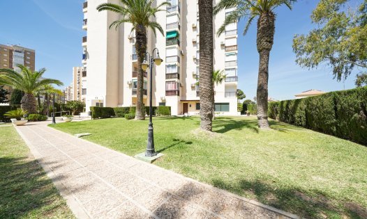 Långtidsuthyrning - Bostadsstudior -
Orihuela Costa - Dehesa de Campoamor