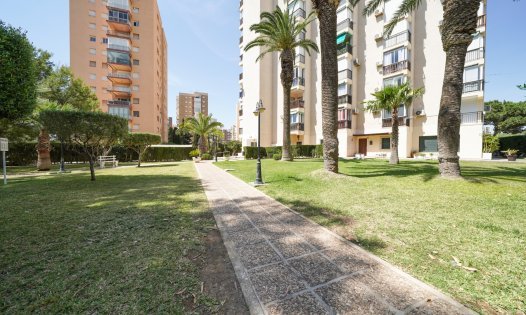 Långtidsuthyrning - Bostadsstudior -
Orihuela Costa - Dehesa de Campoamor