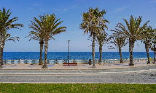 Långtidsuthyrning - Villor -
Pilar de la Horadada - Torre de la Horadada