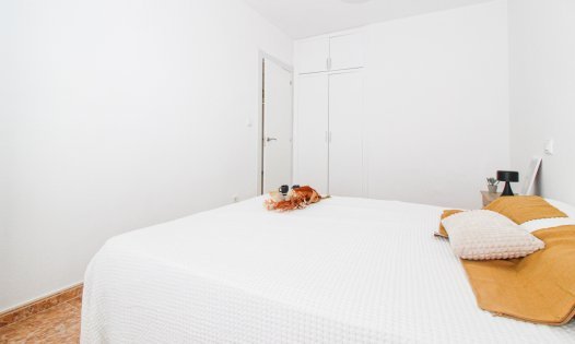 Segunda mano - Apartamentos -
Pilar de la Horadada - Torre de la Horadada