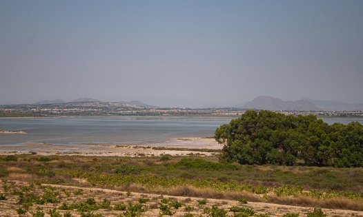 Resale - Luxury Villas -
Torrevieja