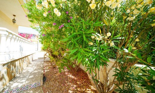 Återförsäljning - Villor -
Pilar de la Horadada - Pinar de Campoverde