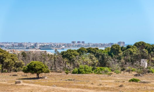 Resale - Apartments -
Orihuela Costa - Punta Prima