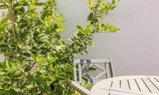 Långtidsuthyrning - Villor -
San Pedro del Pinatar