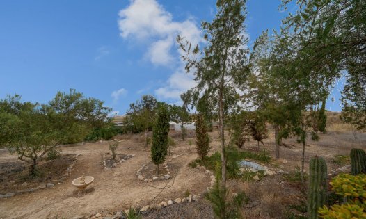 Resale - Country Houses -
Murcia - GEA Y TRUYOLS