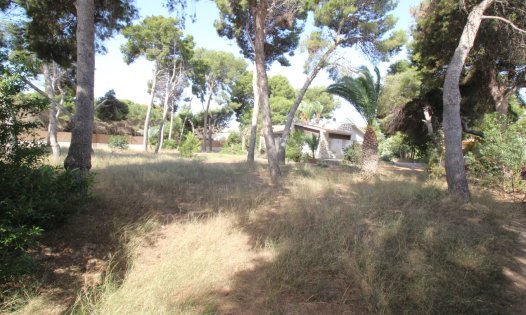 Nouvelle construction - Villas -
Lo Pagán