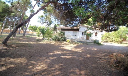 Nouvelle construction - Villas -
Lo Pagán