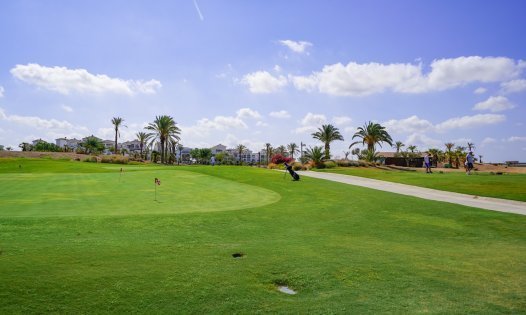 Resale - Plots -
Roldán