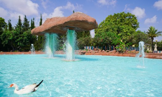 Resale - Bungalows -
Torrevieja - La Mata - Torrevieja