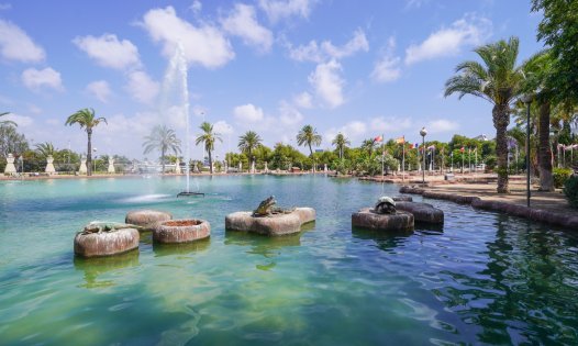 Resale - Bungalows -
Torrevieja - Centro - Torrevieja