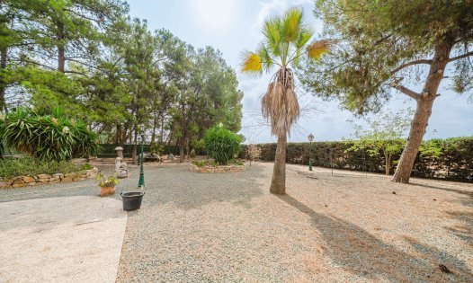 Wiederverkauf - Villen -
Pozo Estrecho