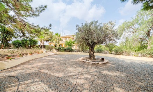 Wiederverkauf - Villen -
Pozo Estrecho