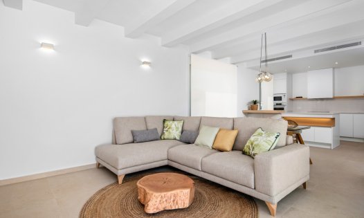 Revente - Villas -
Benijófar