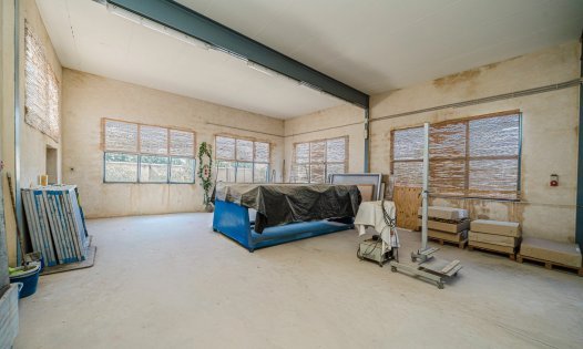 Herverkoop - Landhuizen -
Balsicas