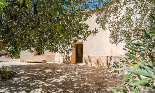 Herverkoop - Landhuizen -
Balsicas