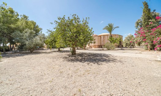 Herverkoop - Landhuizen -
Balsicas