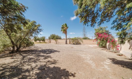 Herverkoop - Landhuizen -
Balsicas