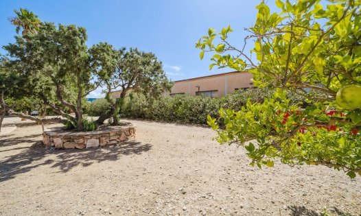 Herverkoop - Landhuizen -
Balsicas