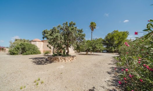 Herverkoop - Landhuizen -
Balsicas