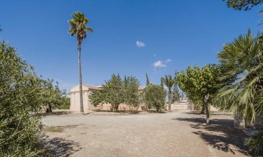 Herverkoop - Landhuizen -
Balsicas