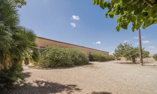 Herverkoop - Landhuizen -
Balsicas