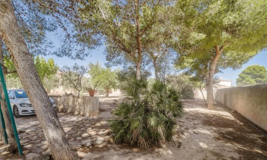 Herverkoop - Landhuizen -
Balsicas