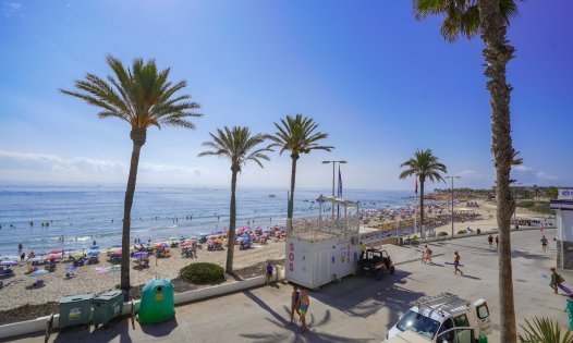 Revente - Appartements -
Pilar de la Horadada - Mil Palmeras