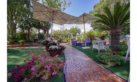 Resale - Commercial premises -
Orihuela Costa - Dehesa de Campoamor