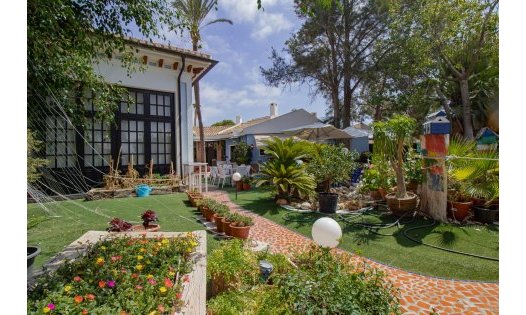 Resale - Commercial premises -
Orihuela Costa - Dehesa de Campoamor