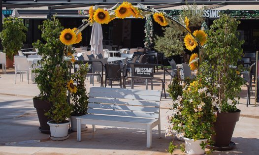 Resale - Commercial premises -
Pilar de la Horadada