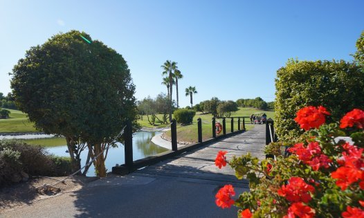 Återförsäljning - Villor -
Pilar de la Horadada