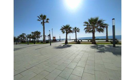 Segunda mano - Locales comerciales -
Torrevieja