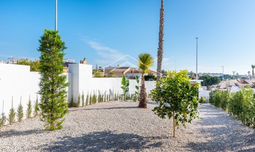 Segunda mano - Villas de lujo -
Rojales - Ciudad Quesada