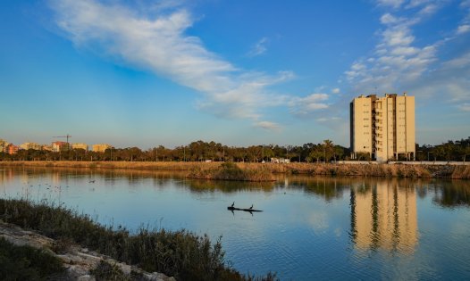 Revente - Appartements -
Guardamar del Segura - El Raso - Guardamar del Segura