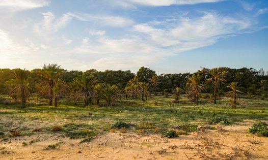 Resale - Apartments -
Guardamar del Segura - El Raso - Guardamar del Segura