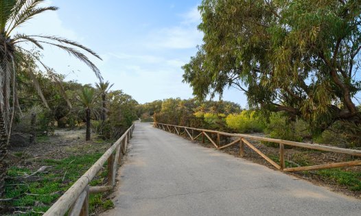 Resale - Apartments -
Guardamar del Segura - El Raso - Guardamar del Segura