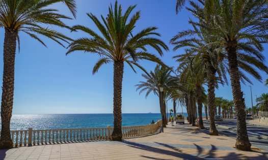 Segunda mano - Bungalows -
Pilar de la Horadada