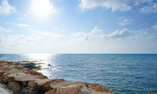 Resale - Penthouses -
Torrevieja