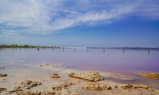 Resale - Terraced Houses -
Torrevieja - La Torreta - Torrevieja